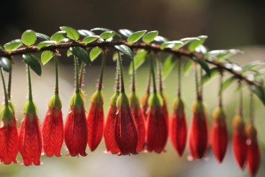 惠州惠城区5私人快速借钱网，轻松解决资金难题