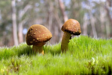 惠州惠城区5私人老板放款：轻松融资的秘密通道